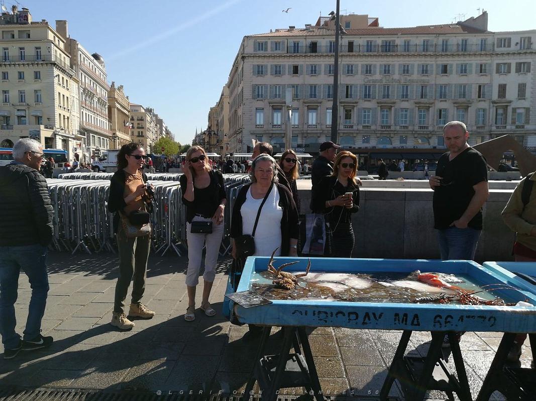 029- Marseille Vieux-Port.jpg - bst
